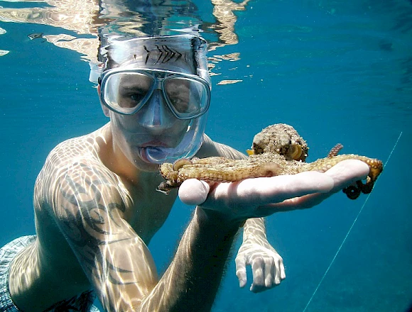 MENIES BAY - CHOIRONISIA BAY