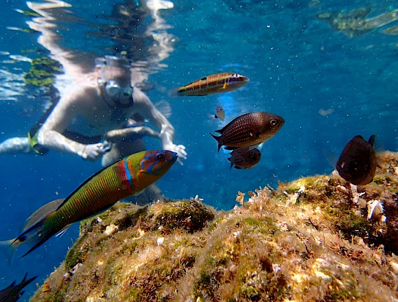 BALOS / GRAMVOUSA ISLAND