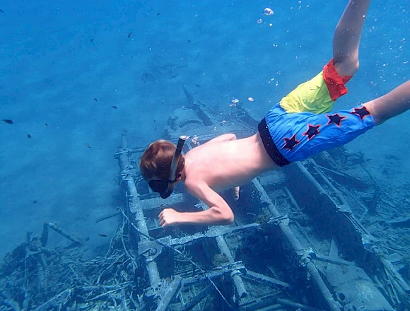 THEODOROU / HALF DAY