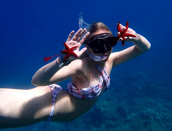 THEODOROU / HALF DAY