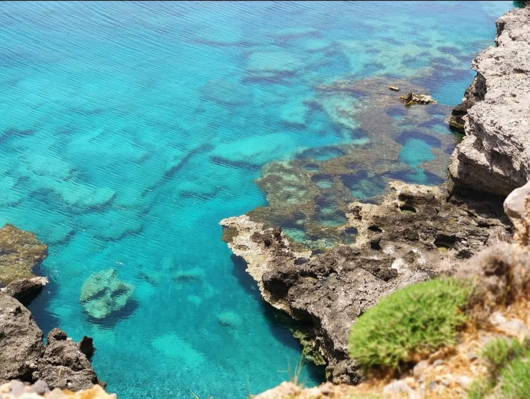 MENIES BEACH AND HIRONISIA BAY CRUISE